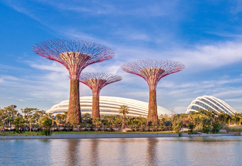 Gardens by the Bay